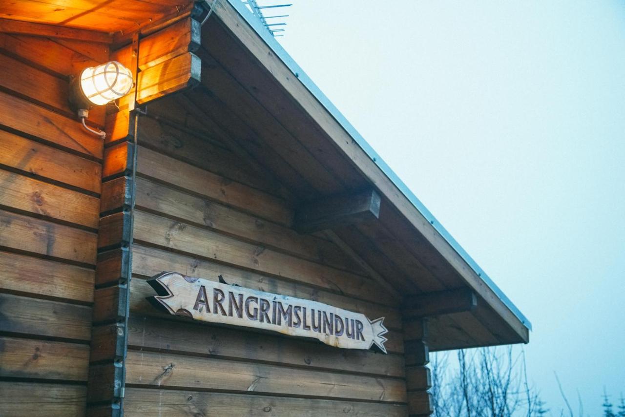 Arngrimslundur Log Cabin - Cabin 3 Villa Flúðir Exteriör bild