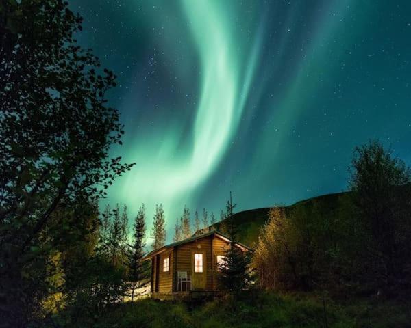 Arngrimslundur Log Cabin - Cabin 3 Villa Flúðir Exteriör bild